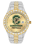W-20 custom logo watch